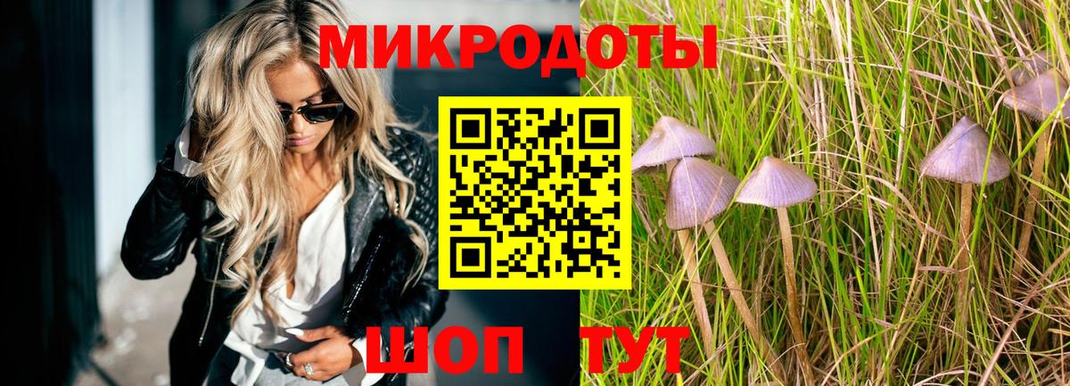 Псилоцибиновые грибы GOLDEN TEACHER  Вход с VPN  Галлюциногенные грибы мухоморы  Прокопьевск 